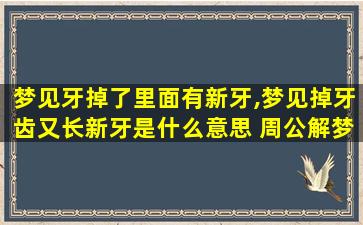 梦见牙掉了里面有新牙,梦见掉牙齿又长新牙是什么意思 周公解梦